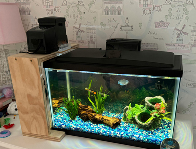 platform next to fish tank with feeder