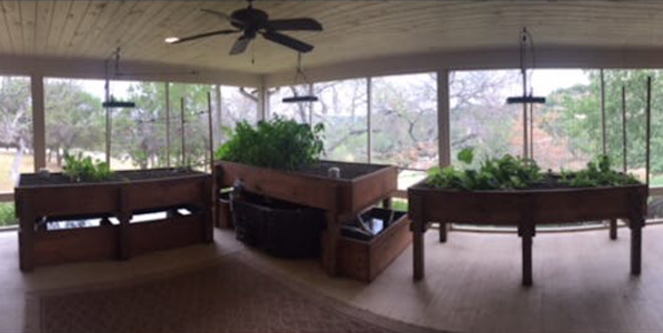 fish feeder on indoor small pond