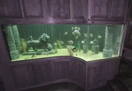 large fish feeder on large aquarium
