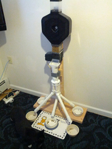 5 way cat feeder splitter for multiple cats