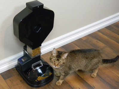 Description