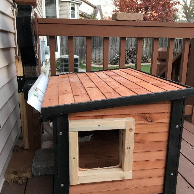 racoon proof cat door