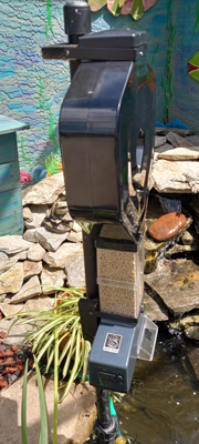 close up of pond feeder