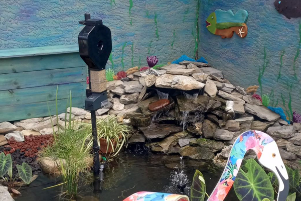 rock pond with pole mounted automatic fish feeder
