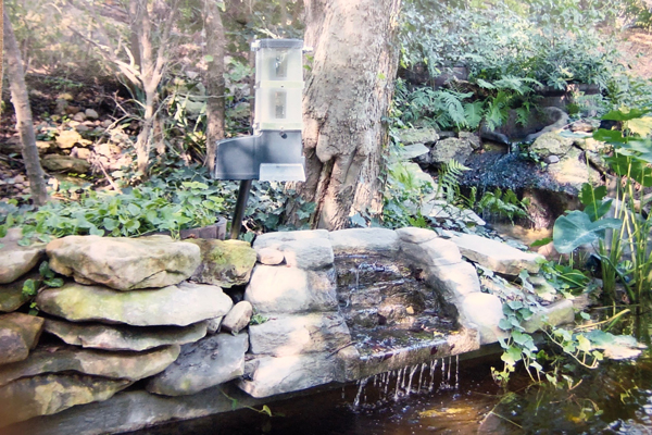 KSF-2 Model Koi pond automatic feeder over pond by Dave