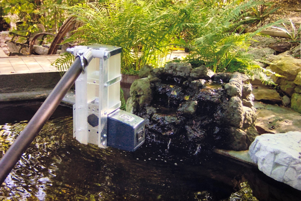 KSF-2 Model Koi pond automatic feeder over pond by Dave
