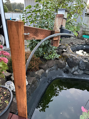 koi pond feeder over backyard pond