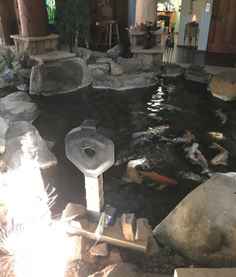 Feeder next to indoor koi pond