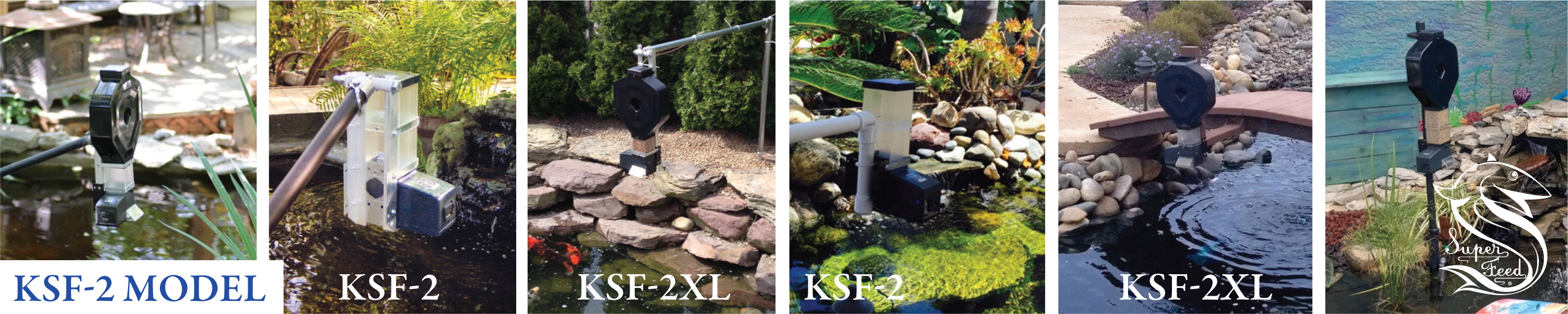 Examples of outdoor koi pond automatic pet feeders