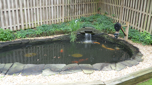 pond with waterfall and feeder