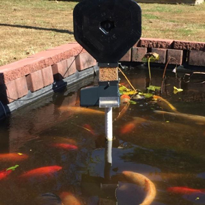 Pipe in middle of pond with mounted feeder