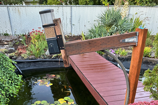 Swing Arm mounting of automatic pet feeder over pond