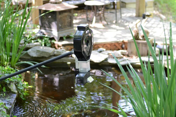 Automatic Outdoor Koi Pond Feeder